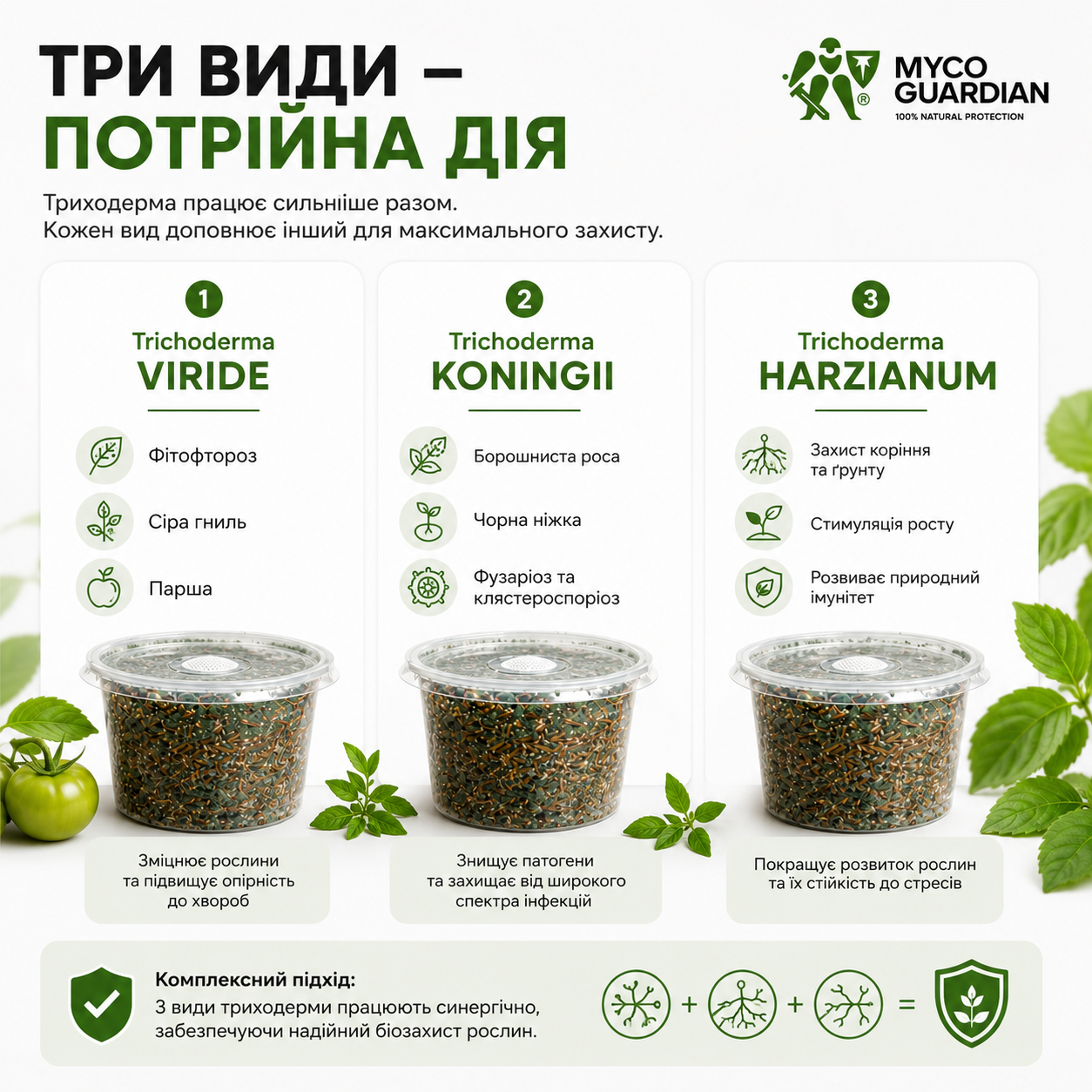 Пояснення ролі Trichoderma Viride, Koningii та Harzianum